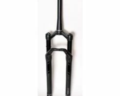 Dt-swiss DT Swiss F232 One 29 Voorvork-Zwart