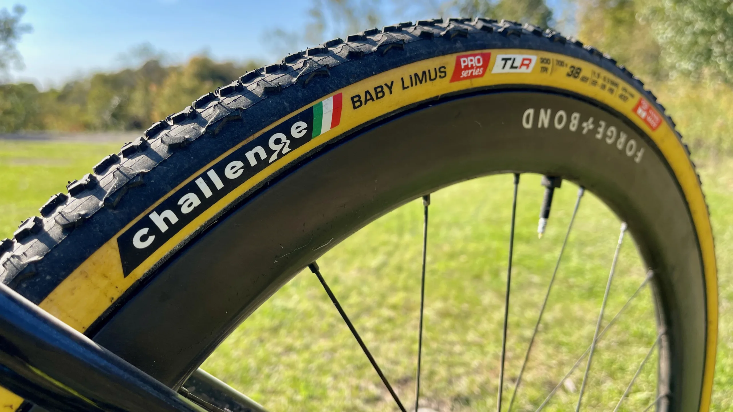 Fiets Accessoires Winkel -Fiets Accessoires Winkel Challenge Baby Limus 38mm HTLR header scaled 1